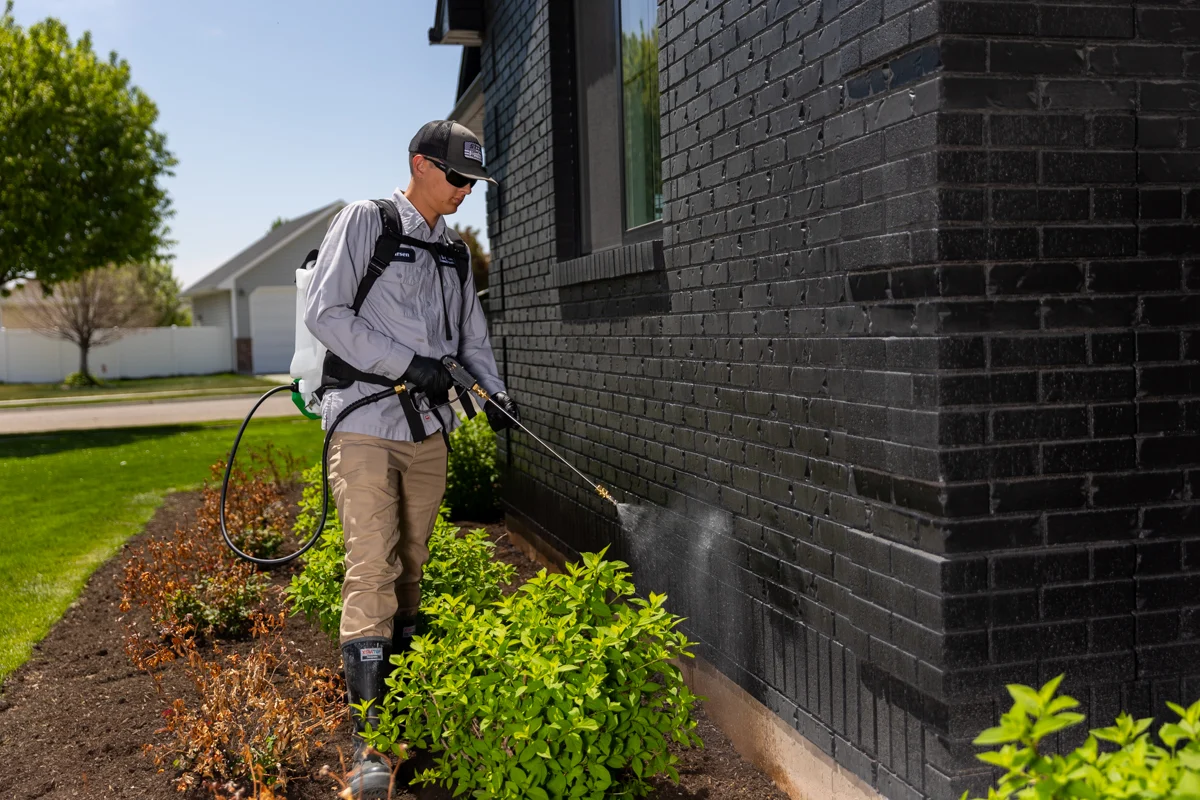 perimeter pest control spray service