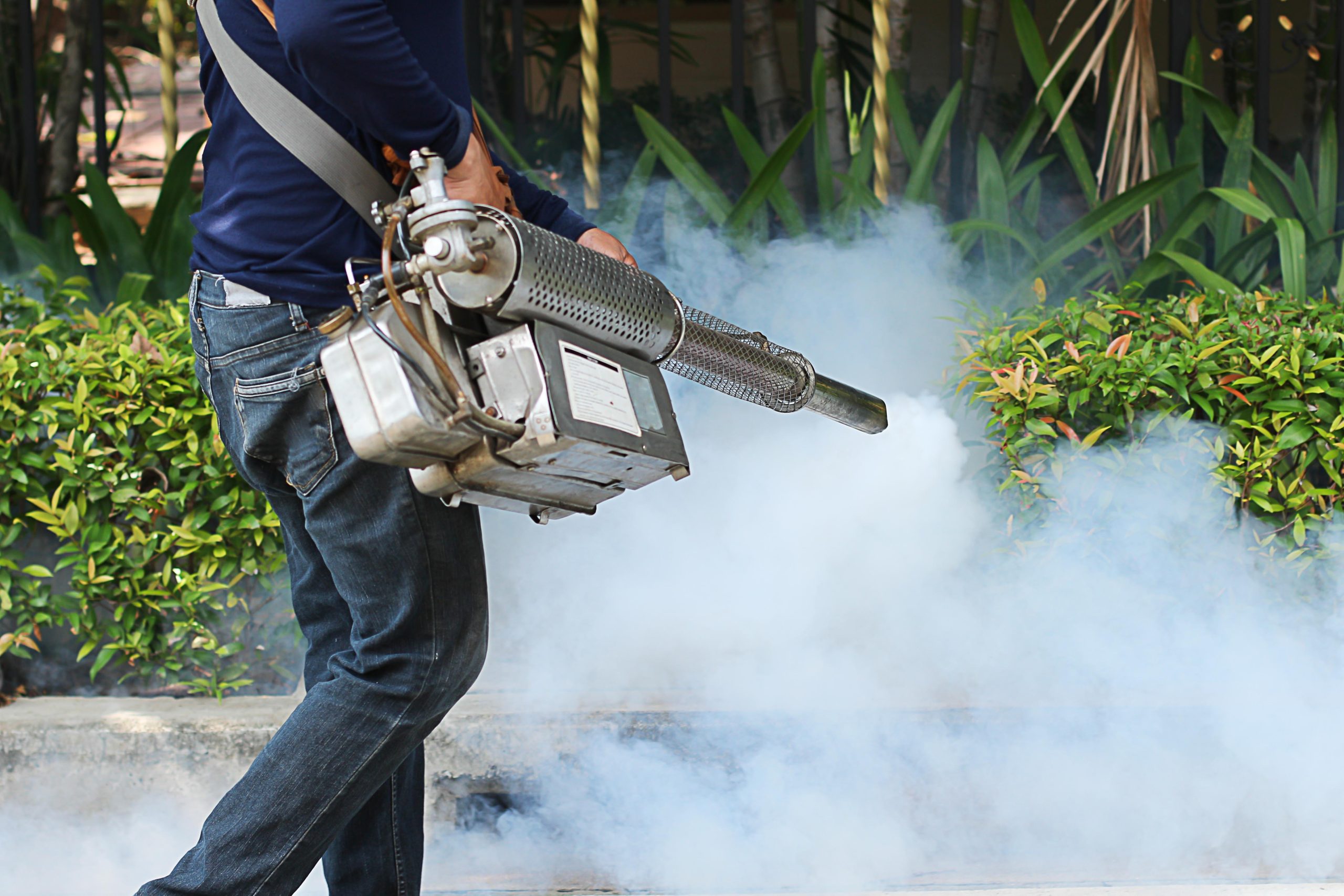 Outdoor Mosquito Control Solutions