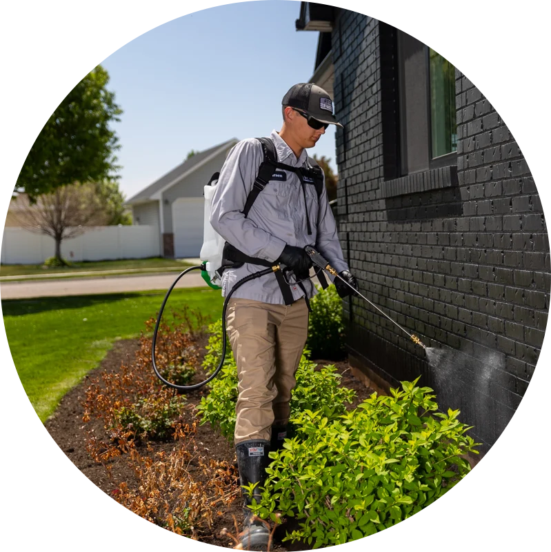 Perimeter Pest Control Spray Service